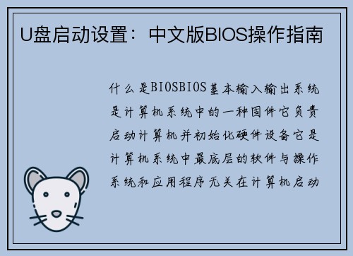 U盘启动设置：中文版BIOS操作指南